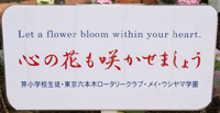 『心の花も咲かせましょう』～花の植え替え～の様子1